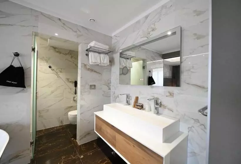 ホテル Aniroc Signature