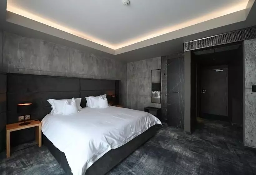 ホテル Aniroc Signature