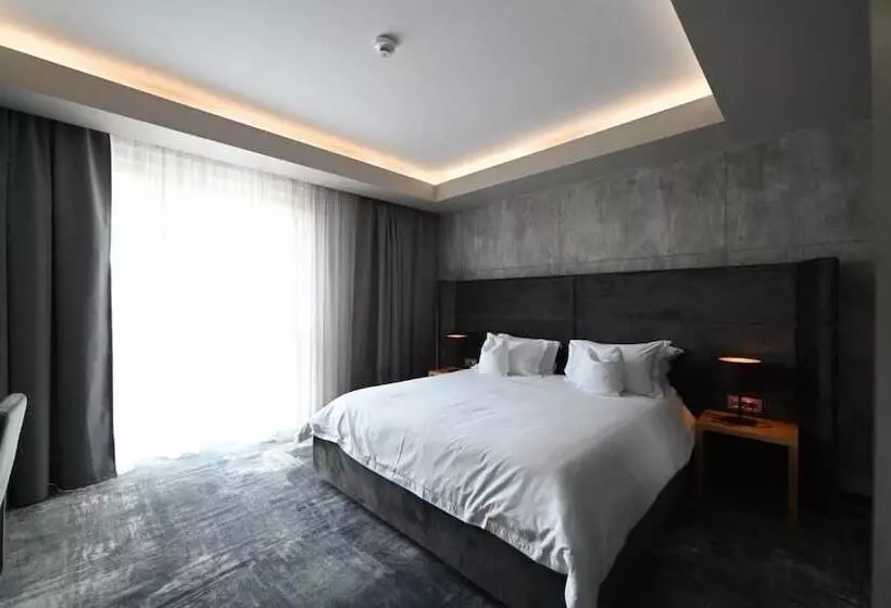 ホテル Aniroc Signature