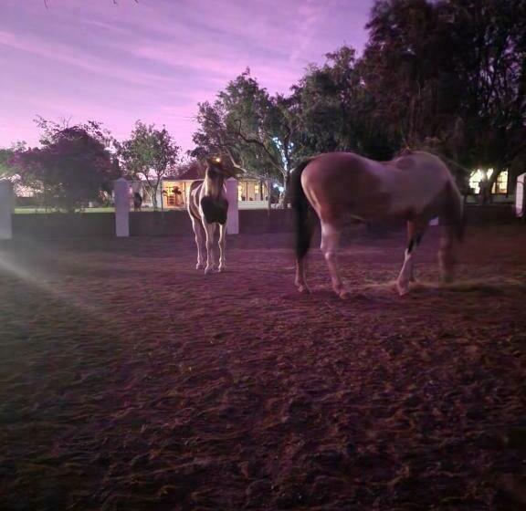 ホテル Watervalsrivier Farm