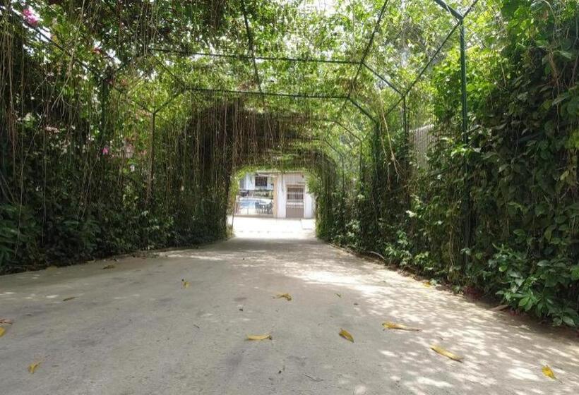 Ilawoods Resort And Sanctuary By Cocotel