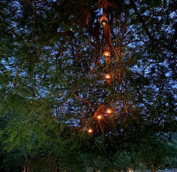 فندق Cabañas El Sabinito