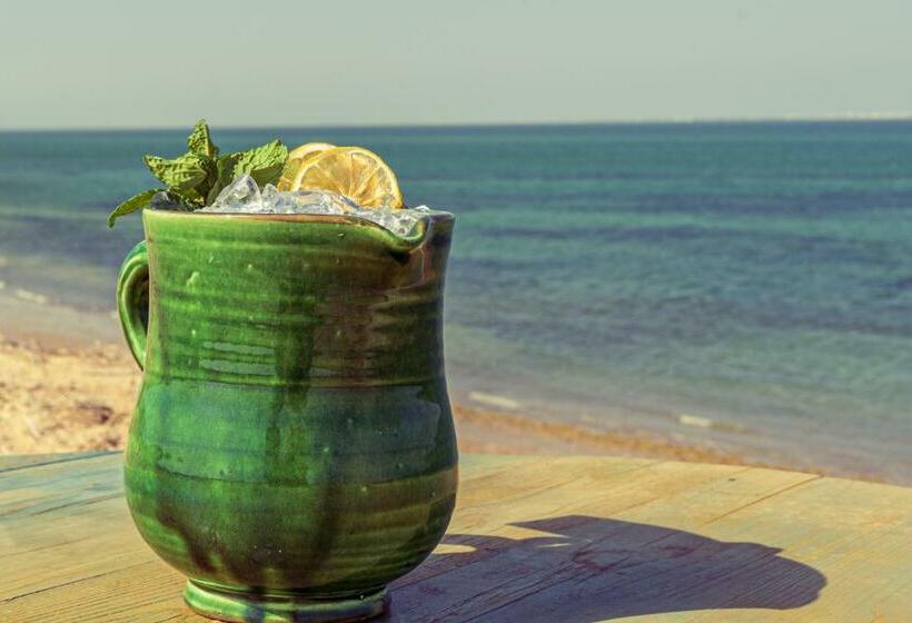 호텔 Oasis212 Dakhla