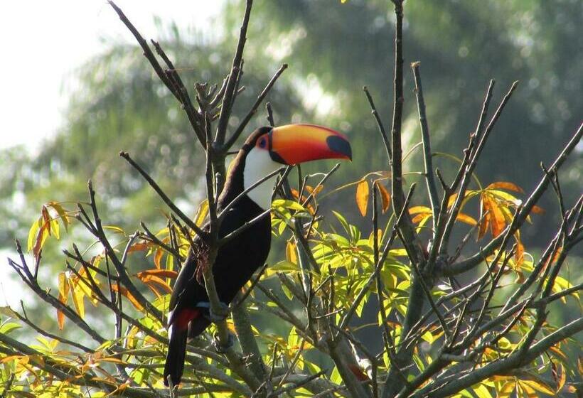 膳宿费 Pousada 2 Baioco