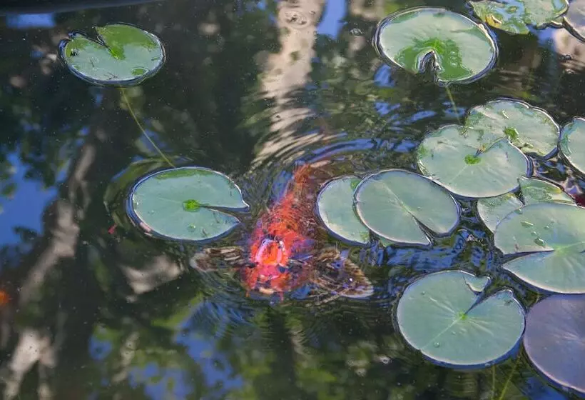 Majatalo Villa Amara