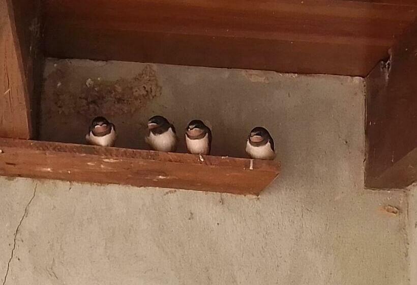 צימר L Orée Des Bois Chambre Chêne