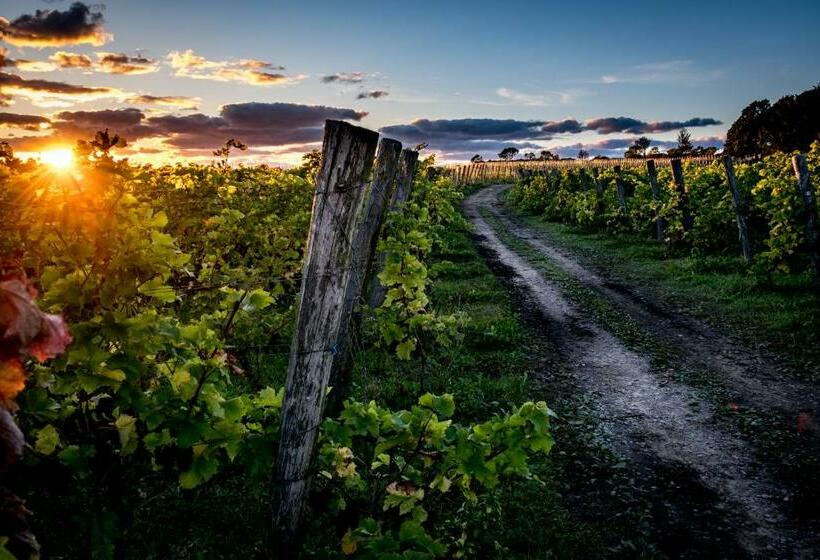 호텔 Vingården I Arild