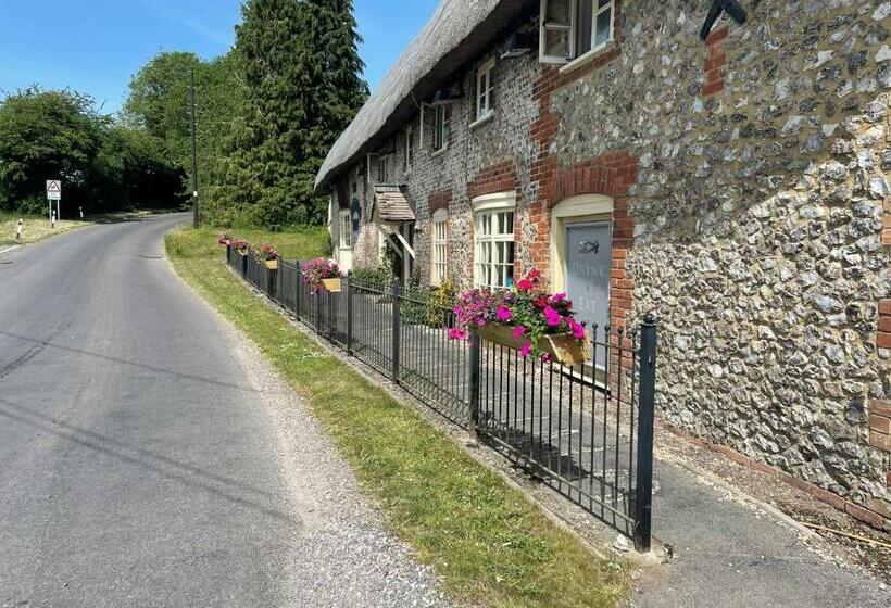 Общежитие The Shears Inn