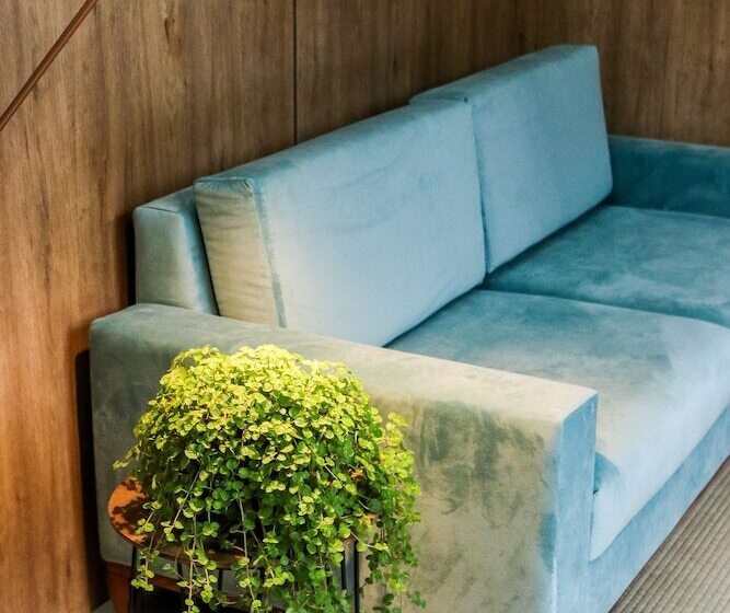 בית מלון כפרי Pousada Do Braga