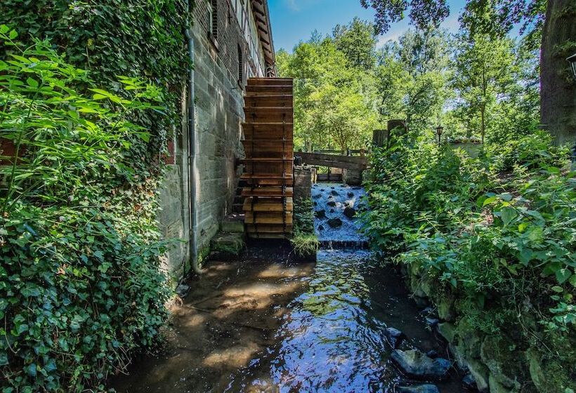 פנסיון Hohlebach Mühle