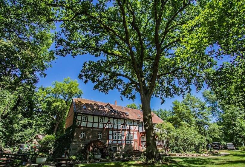 פנסיון Hohlebach Mühle