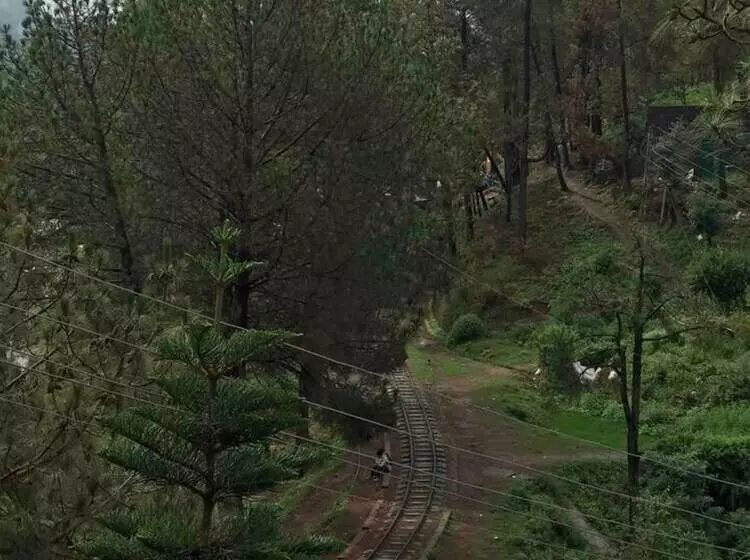 Cozy Solan Apartment With Stunning Views