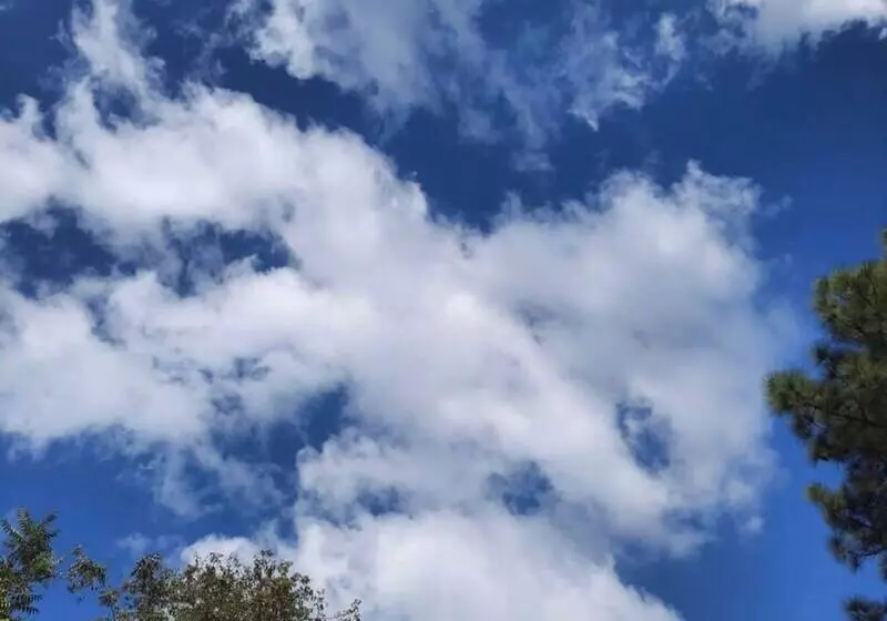 Cozy Solan Apartment With Stunning Views