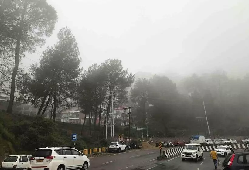 Cozy Solan Apartment With Stunning Views