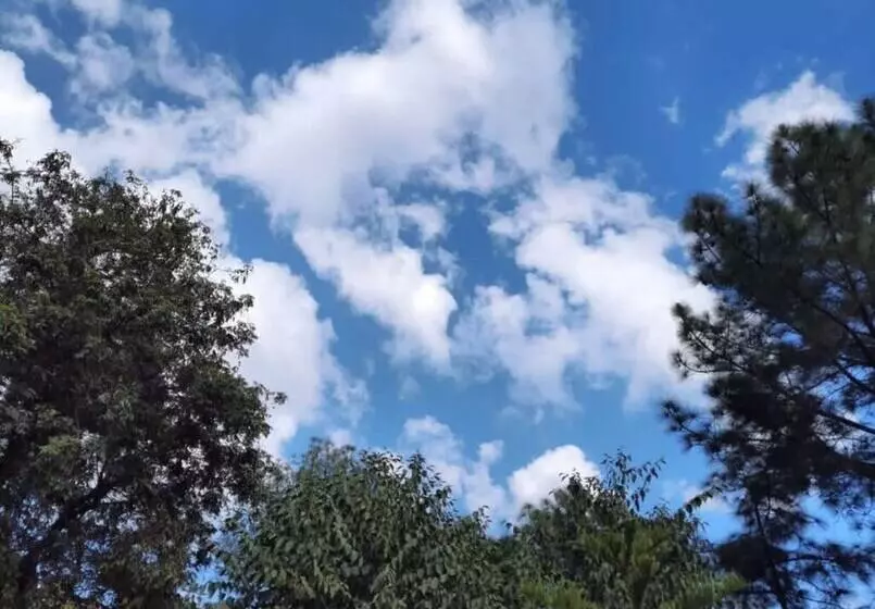 Cozy Solan Apartment With Stunning Views