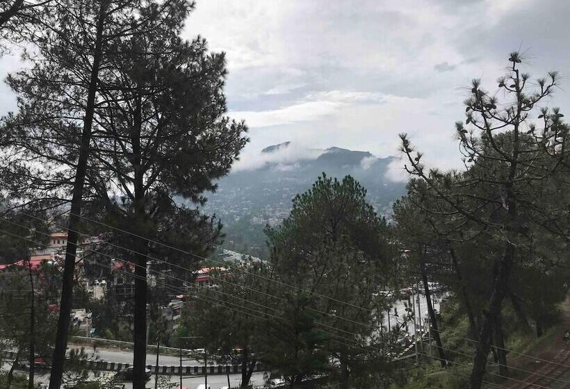 Cozy Solan Apartment With Stunning Views