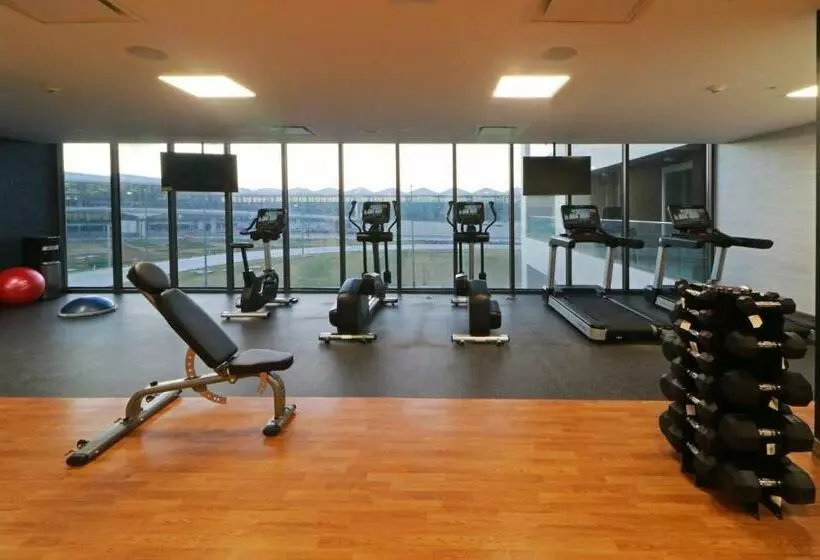 Hotelli Holiday Inn & Suites   Mexico Felipe Angeles Airport, An Ihg