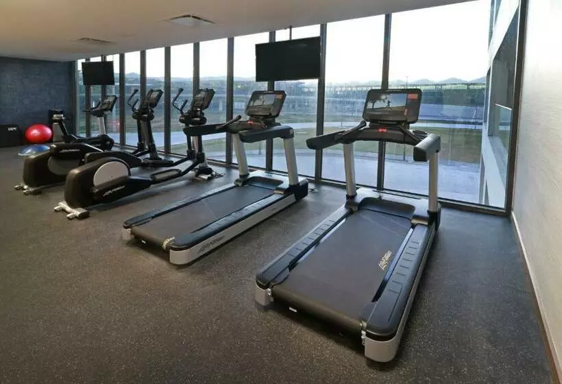 Hotelli Holiday Inn & Suites   Mexico Felipe Angeles Airport, An Ihg