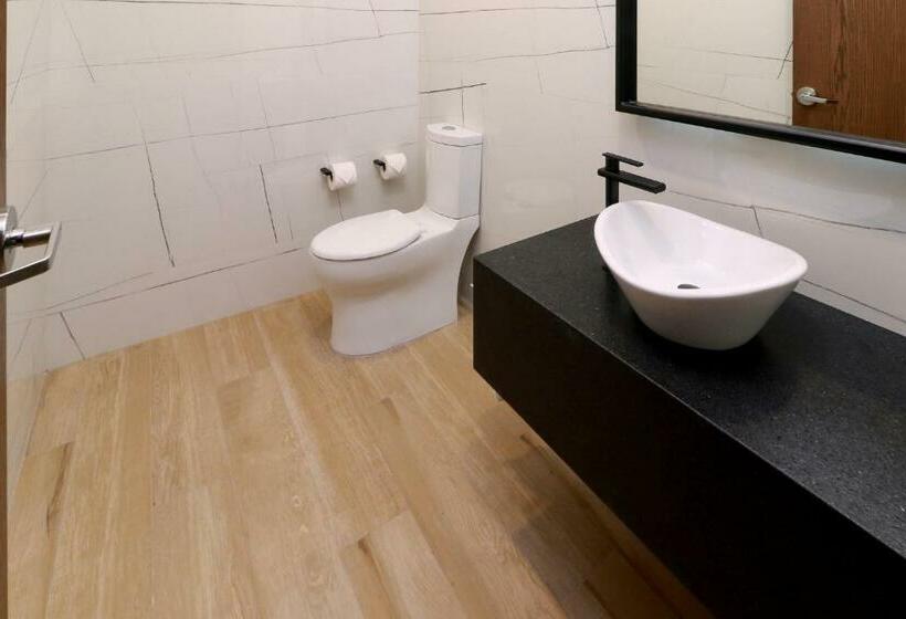 فندق Holiday Inn & Suites   Mexico Felipe Angeles Airport, An Ihg