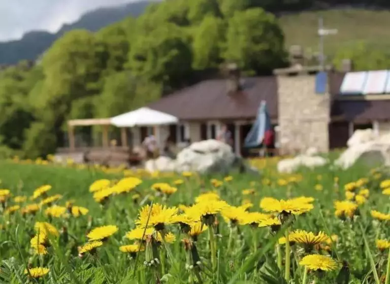 ユースホステル Rifugio Baita Fos Ce