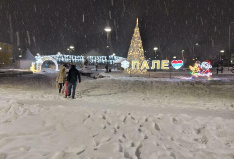 Apartman Petica, Pale