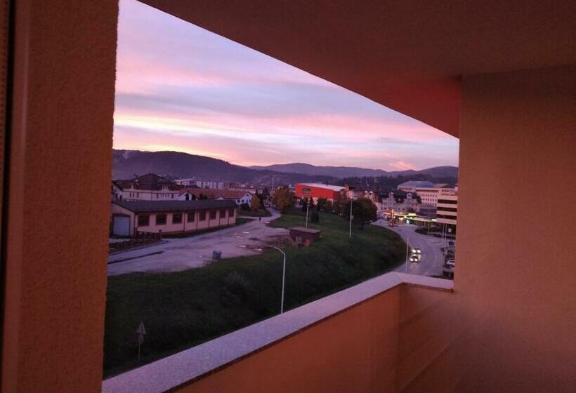 Apartman Petica, Pale