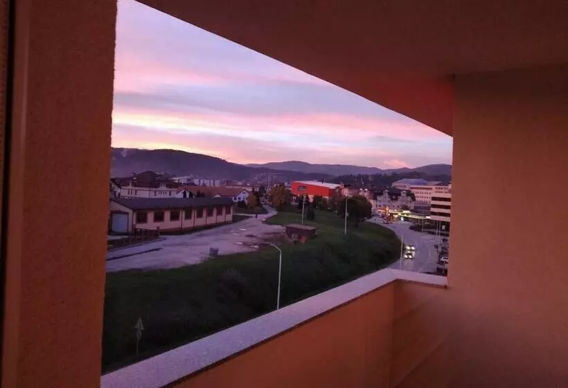 Apartman Petica, Pale
