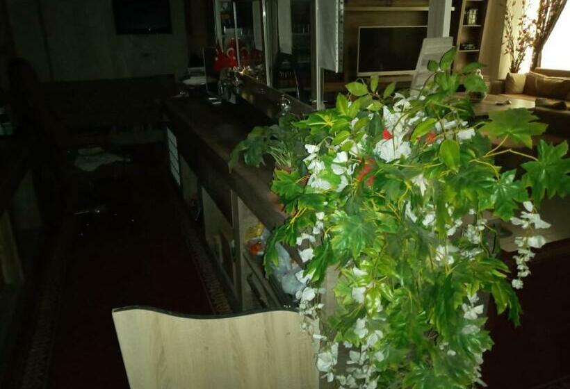 Bed and Breakfast Almin Otel