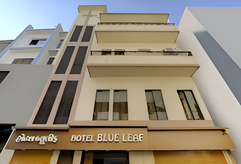 בית מלון כפרי Blue Leaf