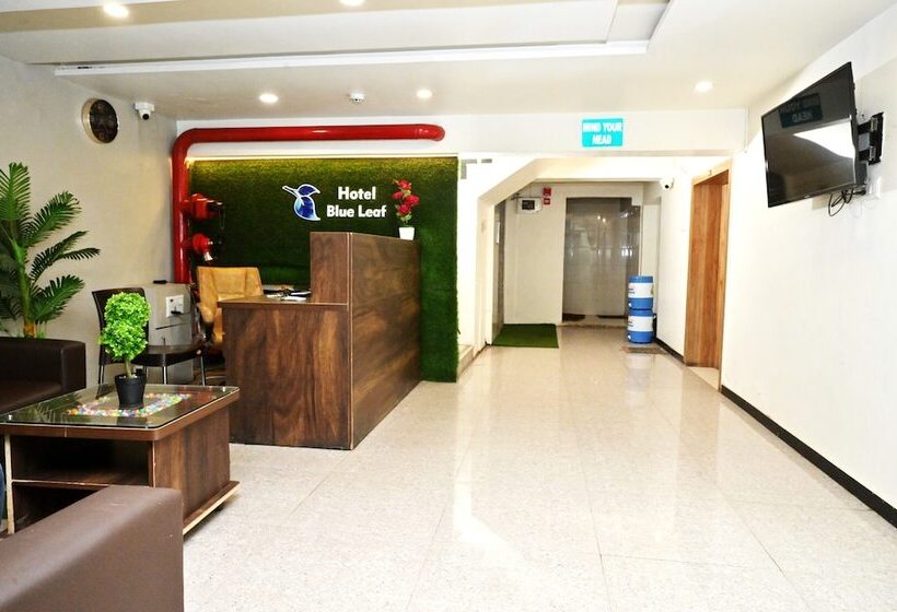 בית מלון כפרי Blue Leaf