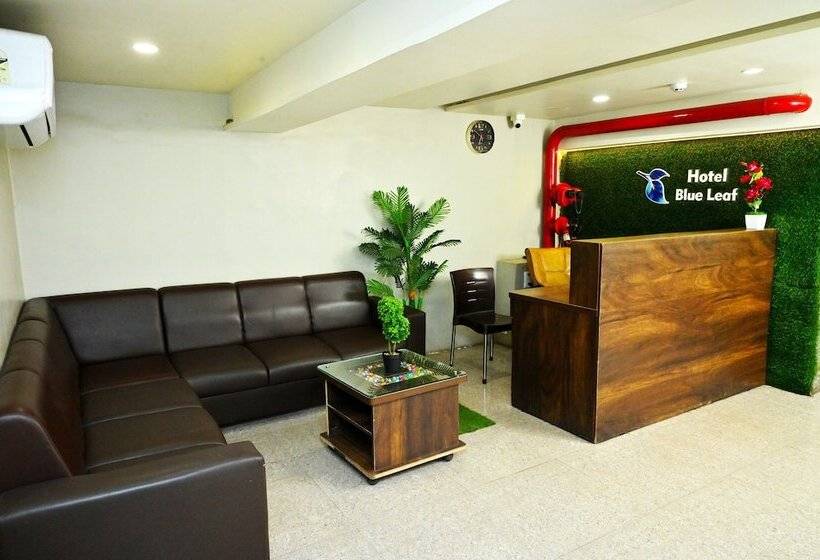 בית מלון כפרי Blue Leaf