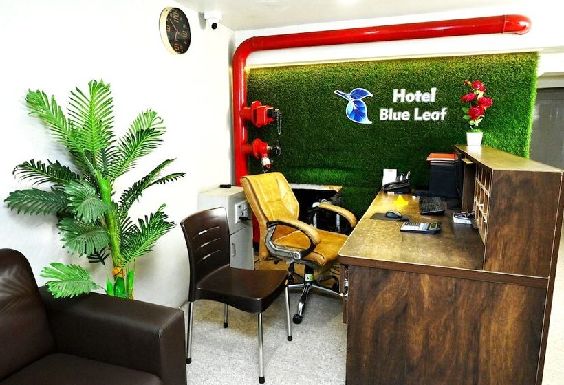 בית מלון כפרי Blue Leaf