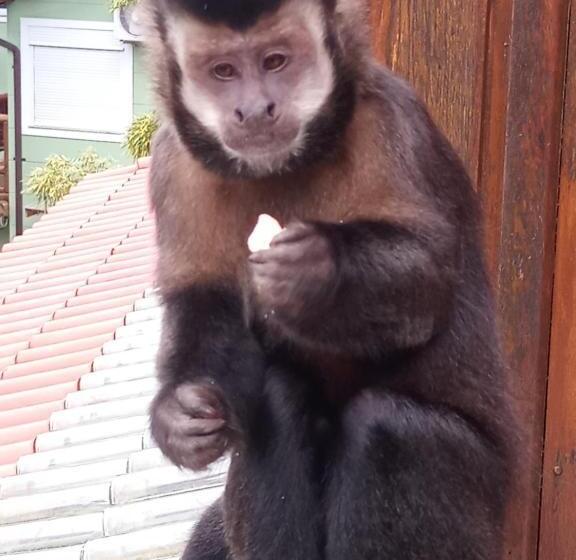 ペンション Casa Do Mirante Quarto 303