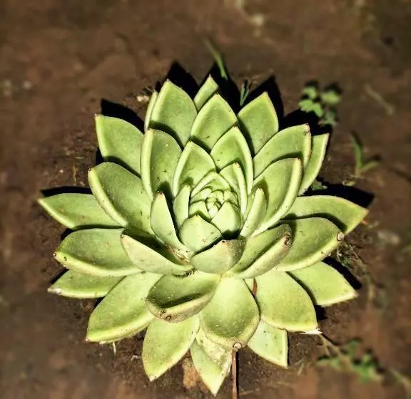 ペンション Ikamva Guest House