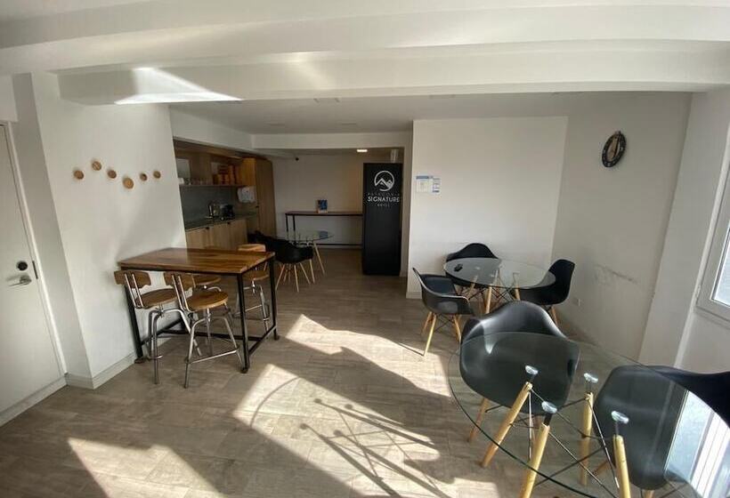 ベッドアンドブレックファースト Patagonia Signature