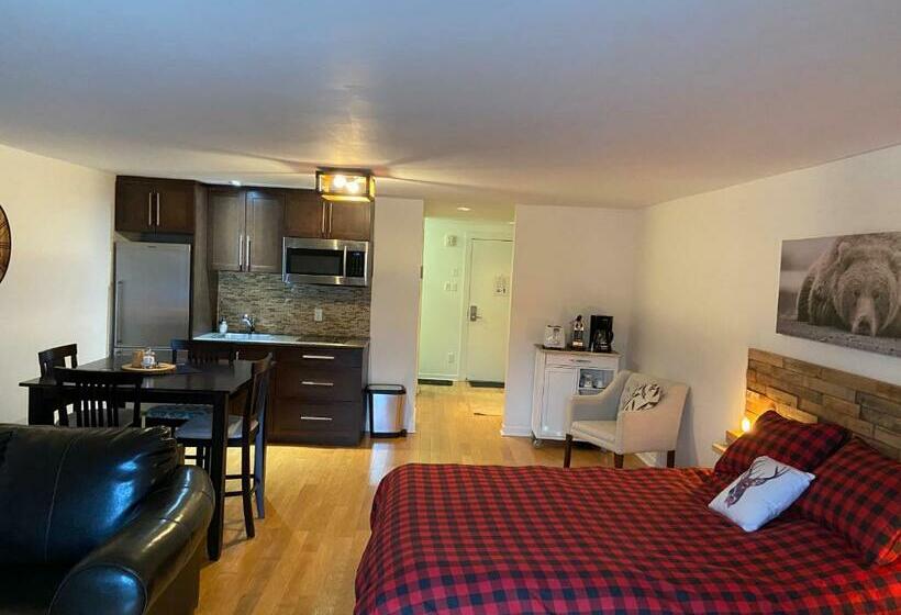 Condo Loft Avec Cuisinette