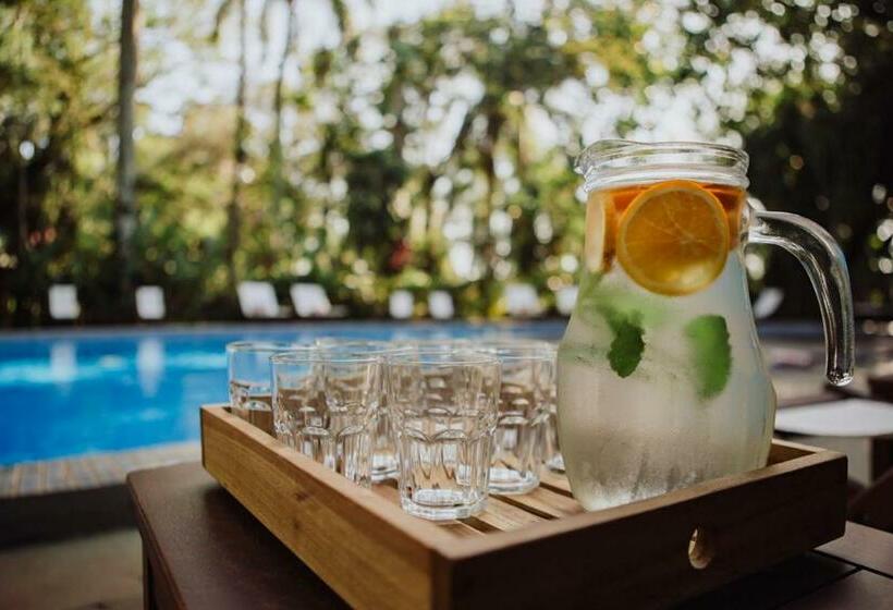 Hotel Overo Lodge & Selva