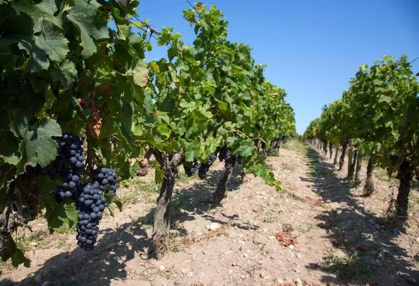 Aamiaismajoitus (B&B) Wine Hôte Chambre D Hôtes