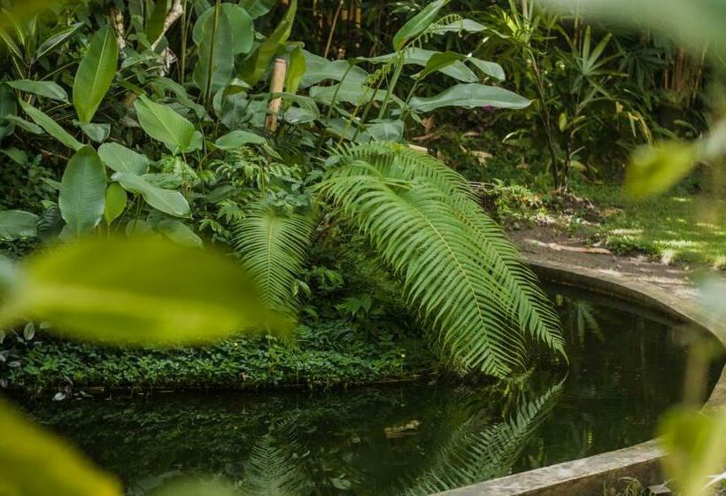 פנסיון The Winaposa