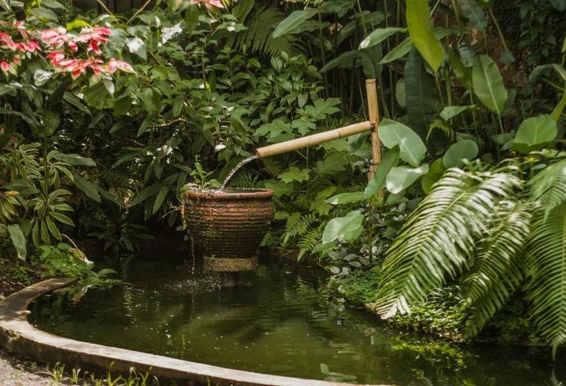 פנסיון The Winaposa