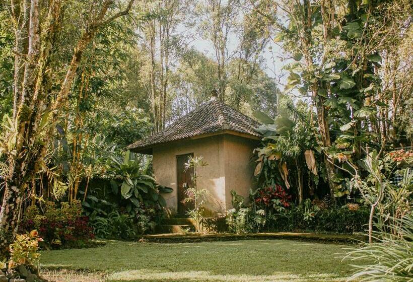 פנסיון The Winaposa