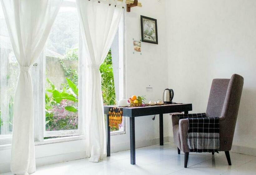 פנסיון The Winaposa