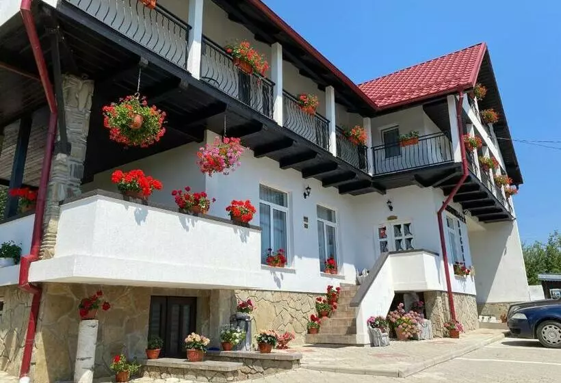 Pensiunea Boculeț Gura Humorului