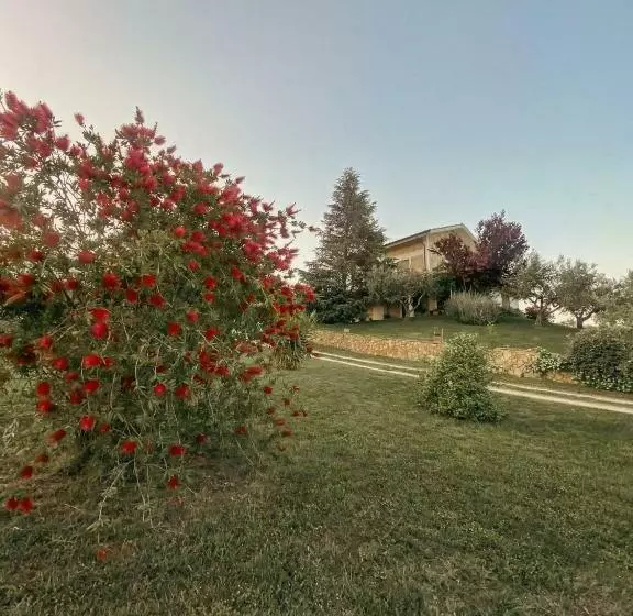 Bed & Breakfast Le Coccinelle