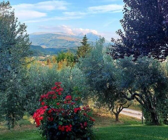 Bed & Breakfast Le Coccinelle