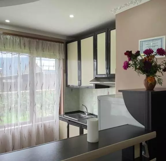 پانسیون Artina Guest House