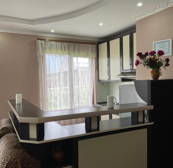 پانسیون Artina Guest House