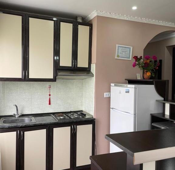 پانسیون Artina Guest House