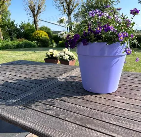 B&b Hieris T
