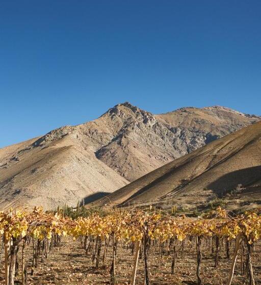 בית מלון כפרי Glamping Miraflores